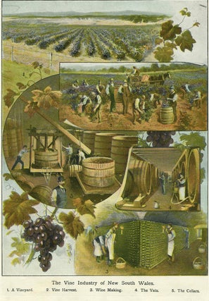 Item #18731 The Vine Industry of New South Wales. Wine