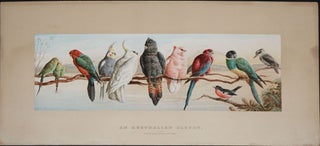 Item #18856 An Australian Eleven. Copyright. From the Original Drawing by Harry Bright. Henry...