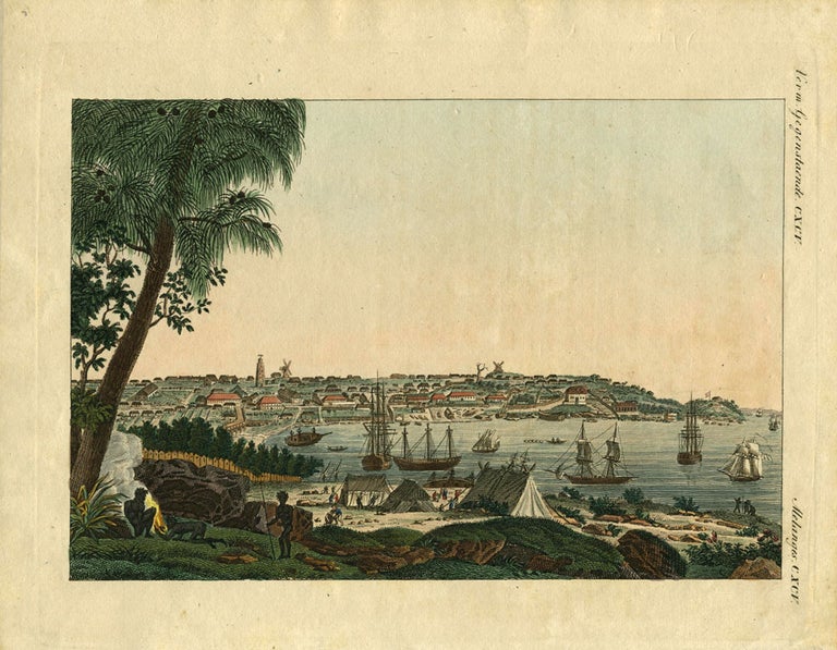 Item #18869 [View of Sydney and the Mouth of the Parramatta]. Victor Pillement, after.