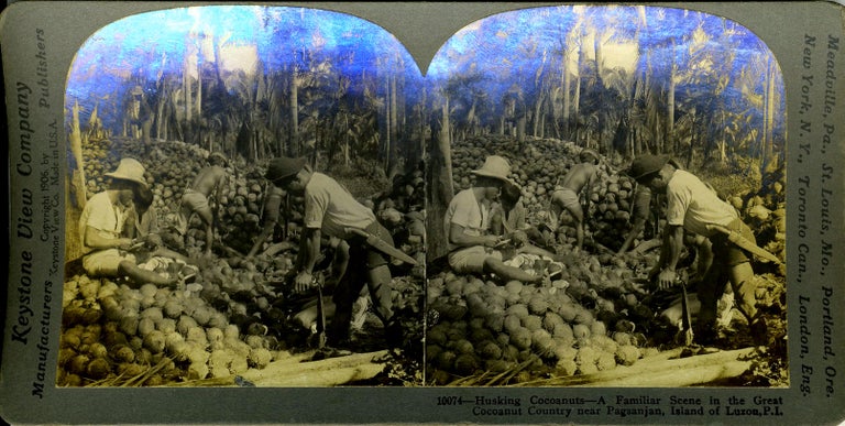 Item #18875 Stereoscopic view. Husking Cocoanuts ... in Luzon, P. I. Philippines.
