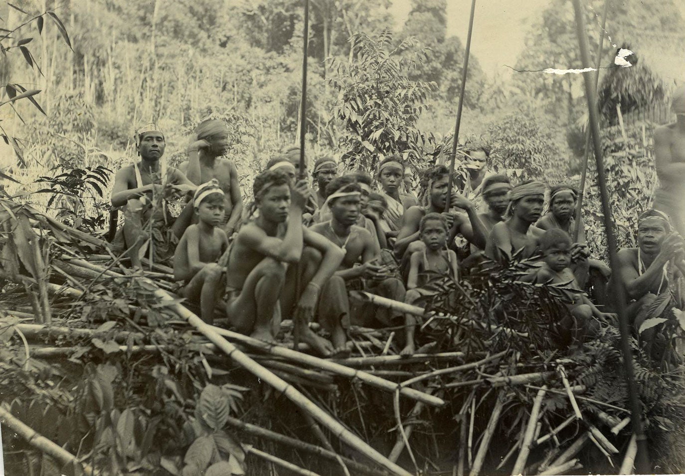 5 real photographs of nomadic hunter gatherer Sakai or Semang ...