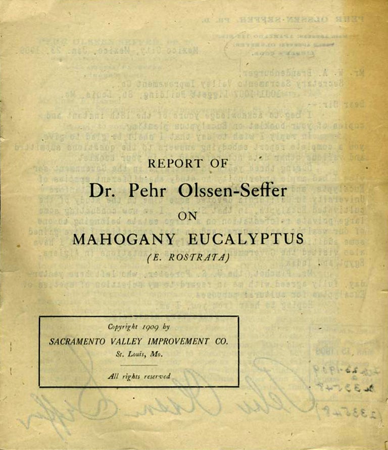 Item #19226 Report of ... on Mahogany Eucalyptus (E. Rostrata). Pamphlet. Dr. P. Olssen-Seffer.