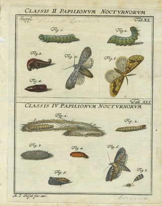Item #19367 Classis II Papilionum Nocturnorum Classis IV Papilionum Nocturnorum. Moth Engraving,...
