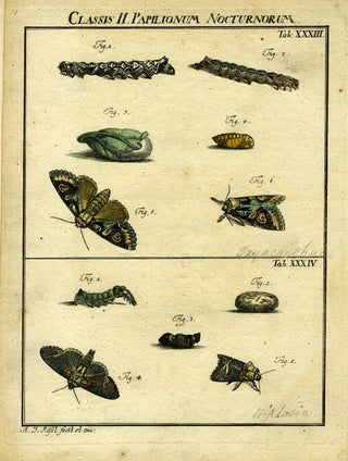 Item #19368 Classis II Papilionum Nocturnorum. Moth Engraving, A. J. Rosel