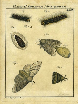 Item #19370 Classis II Papilionum Nocturnorum. Moth Engraving, A. J. Rosel