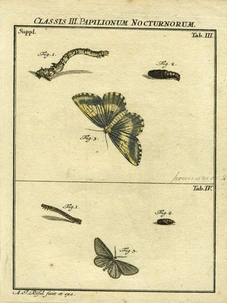 Item #19373 Classis III Papilionum Nocturnorum. Moth Engraving, A. J. Rosel