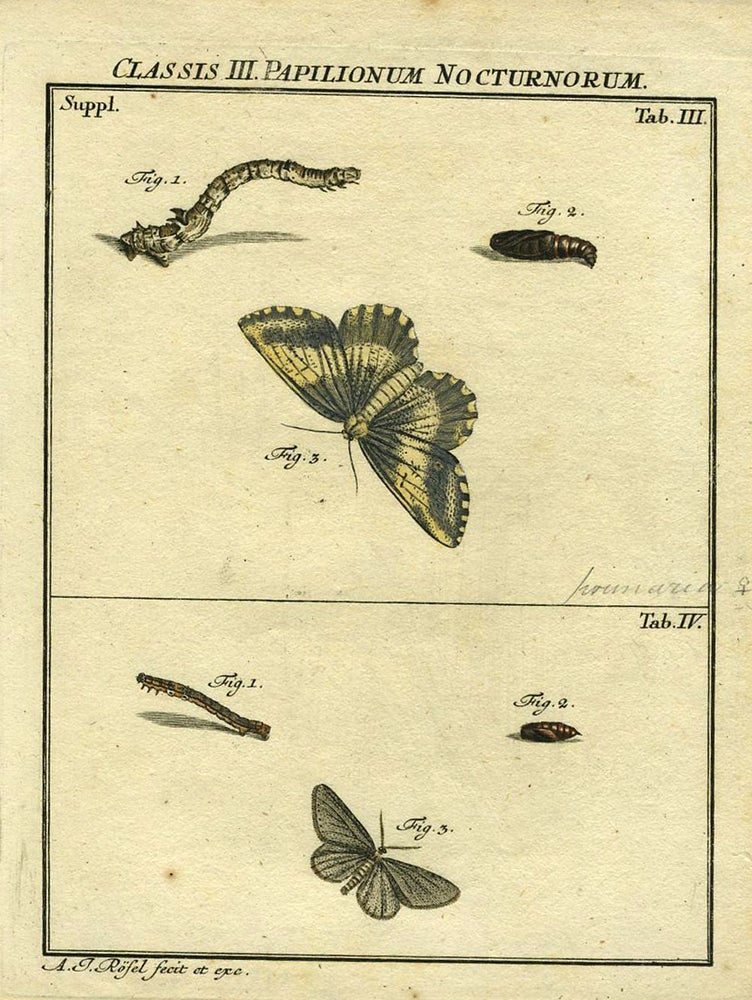 Item #19373 Classis III Papilionum Nocturnorum. Moth Engraving, A. J. Rosel.