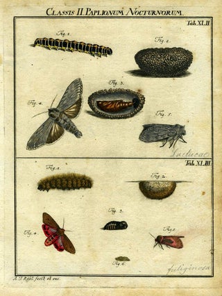 Item #19377 Classis II Papilionum Nocturnorum. Moth Engraving, A. J. Rosel