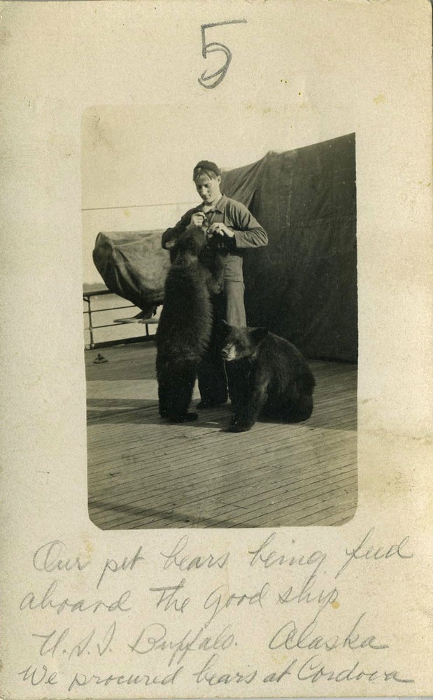 Item #19403 "Our pet bears being feed (sic) aboard the good ship U.S.S. Buffalo. Alaska. We procured bears at Cordova" Real photo postcard.