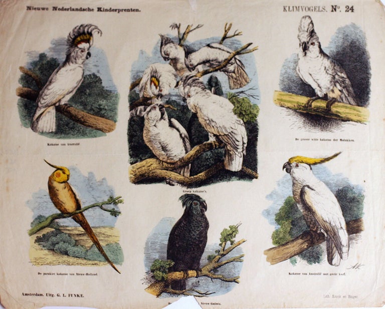 Item #19927 Nieuwe Nederlandsche Kinderprenten. Klimvogels. No. 24. Childrens, Cockatoos.