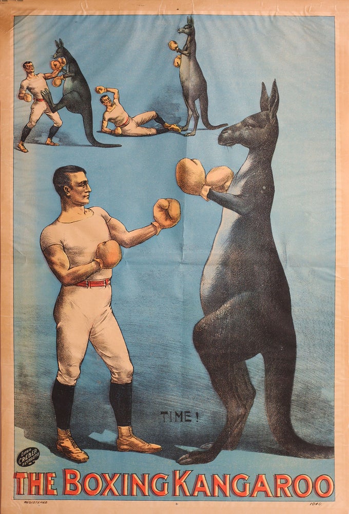 Item #19989 The Boxing Kangaroo. Poster. Kangaroo, Poster.