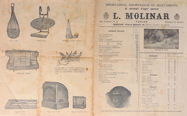 Item #20343 Importazione, Esportazione ed Allevamento di animali d'ogni specie. L. Molinari Torino. L. Italian Importer of animals Molinar.