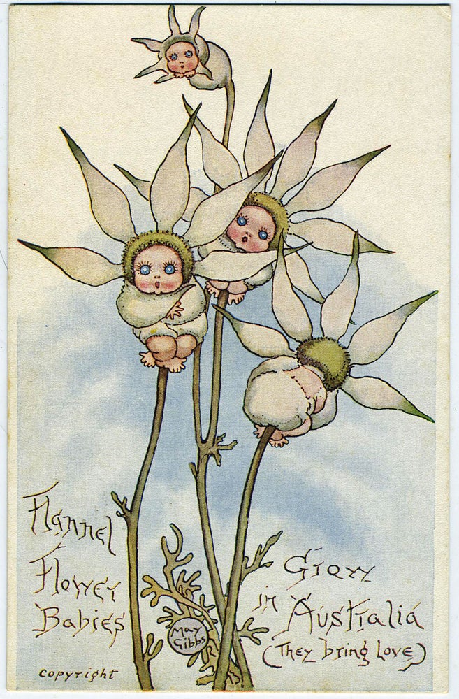 Item #20499 Flannel Flower Babies Grow in Australia (They bring Love). Color card. May Gibbs.