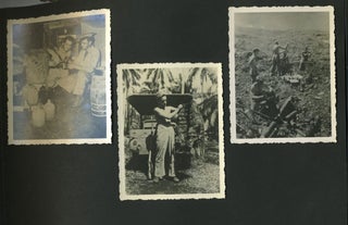"Trophy Taking": Photographic album of US in the Pacific theater, World War II.