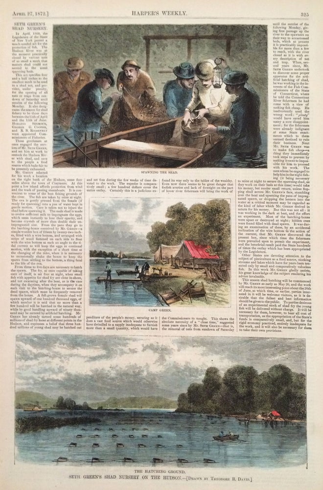 Item #20994 Seth Green's Shad Nursery on the Hudson, illustration from Harper's Weekly, full page. Theodore R. Davis.