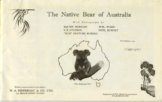 The Native Bear of Australia.