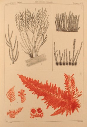 An Account of the Petrological, Botanical, and Zoological Collection Made in Kerguelens Land and Rodriguez During the Transit of Venus Expeditions 1874-75.