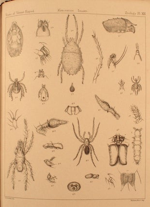 An Account of the Petrological, Botanical, and Zoological Collection Made in Kerguelens Land and Rodriguez During the Transit of Venus Expeditions 1874-75.