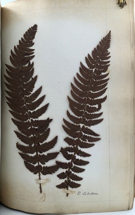 Bell’s Common-Place Book, Form'd generally upon the Principles Recommended and Practised by Mr Locke.