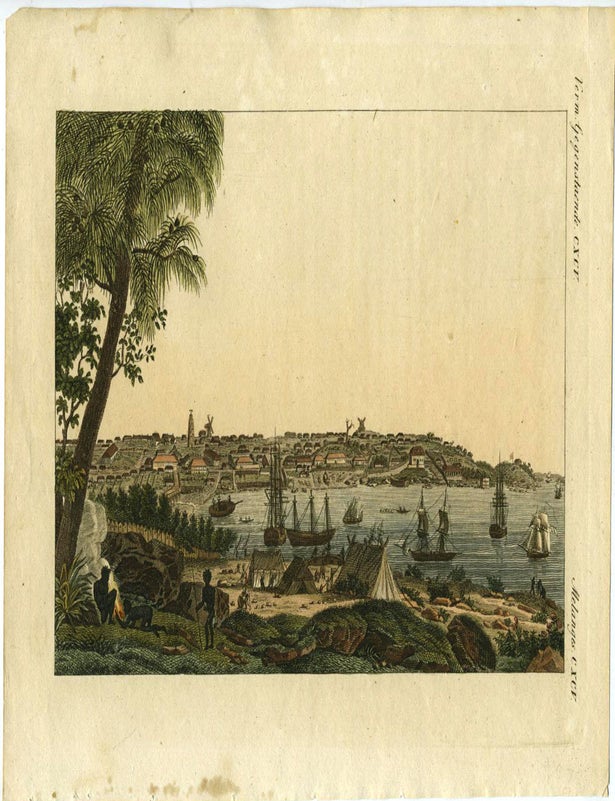 Item #21978 Ansicht der Stadt Sidney, von der Sudseite und der Mundung des Paramatta Flusses. German hand colored engraving of Sydney after the Peron view. Australia Sydney.