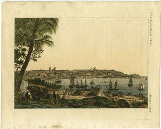 Item #21978 Ansicht der Stadt Sidney, von der Sudseite und der Mundung des Paramatta Flusses. ...