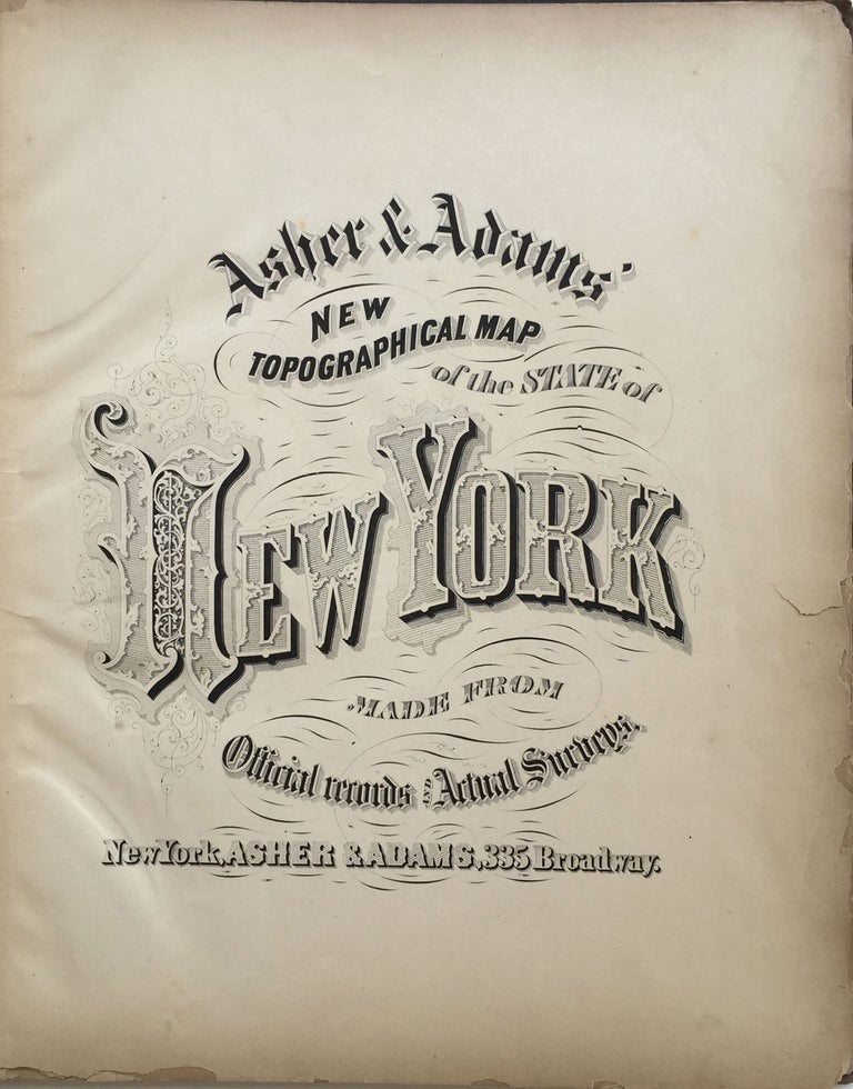 Item #22257 New Topographical Map of the State of New York Made from Official Records and Actual Surveys. Asher, Adams.