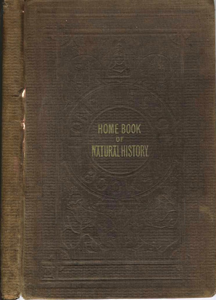 Item #22342 Home Book of Natural History Illustrated with One Hundred Engravings. Childrens, kangaroo.