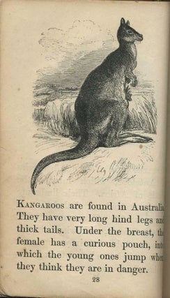 Home Book of Natural History Illustrated with One Hundred Engravings.