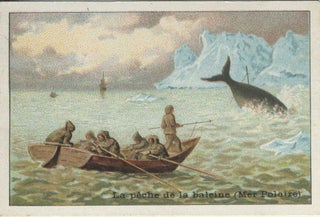 Item #22520 Chocolat Magniez-Baussart Amiens advertising card describing Whaling in the Polar Sea