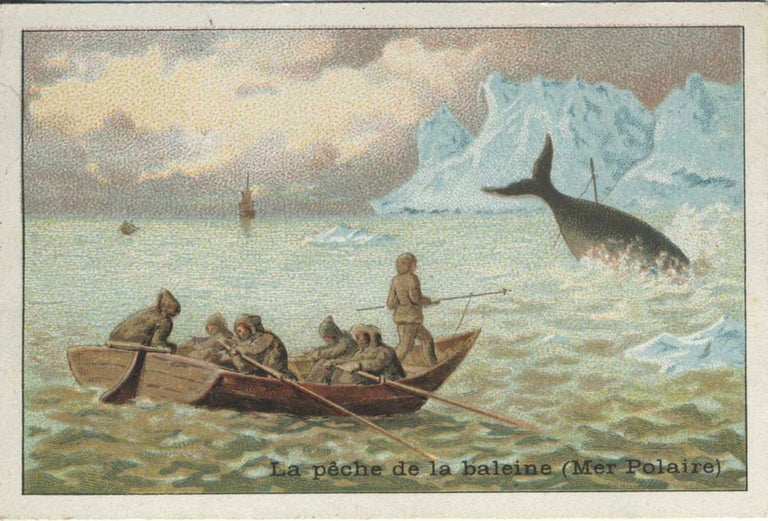 Item #22520 Chocolat Magniez-Baussart Amiens advertising card describing Whaling in the Polar Sea.