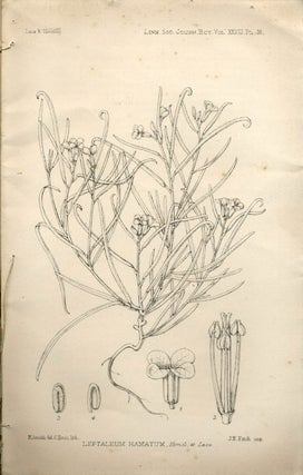 Item #22604 Report on Antarctic plants to Sir Joseph Hooker, in The Journal of the Linnean...