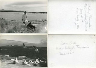 Item #23317 Archives of G.W. Cottrell, Noted American Ornithologist from New Hampshire. Bird...