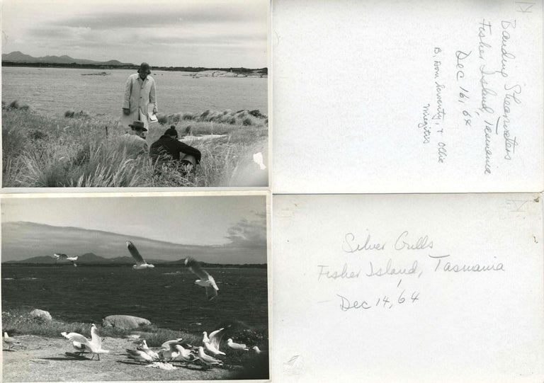 Item #23317 Archives of G.W. Cottrell, Noted American Ornithologist from New Hampshire. Bird Watching, G. W. Cotterell.