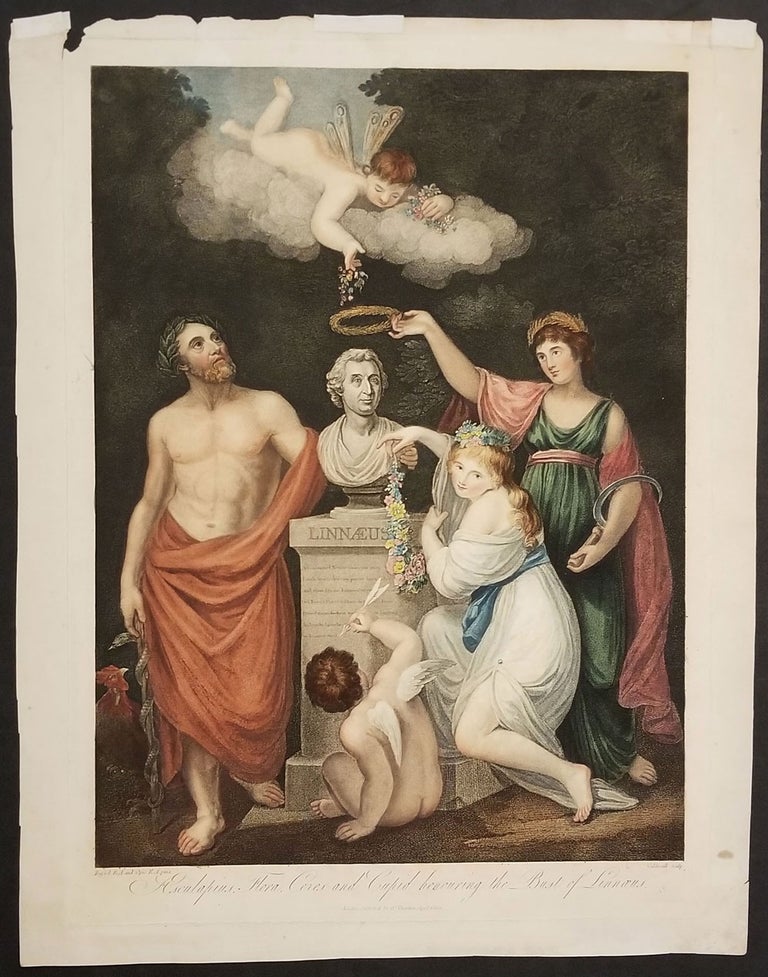 Item #24029 Aesculapius, Flora, Ceres and Cupid honouring the Bust of Linnaeus. Engraving. Dr. Robert Thornton, Linnaeus.