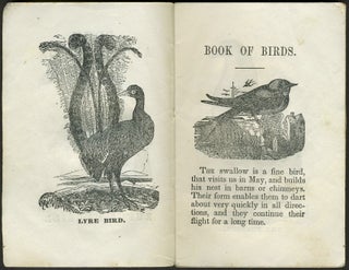Book about Birds.
