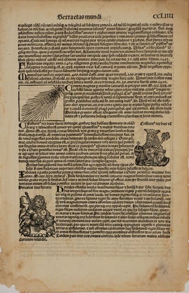 Halley's Comet and Anti-Semitism in 1493, from the Nuremberg Chronicle. Woodblock.