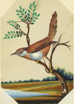 Item #24463 Bird Painting from India on Mica