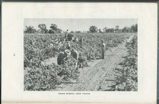 A Survey of the Grape Industry of Western Australia.
