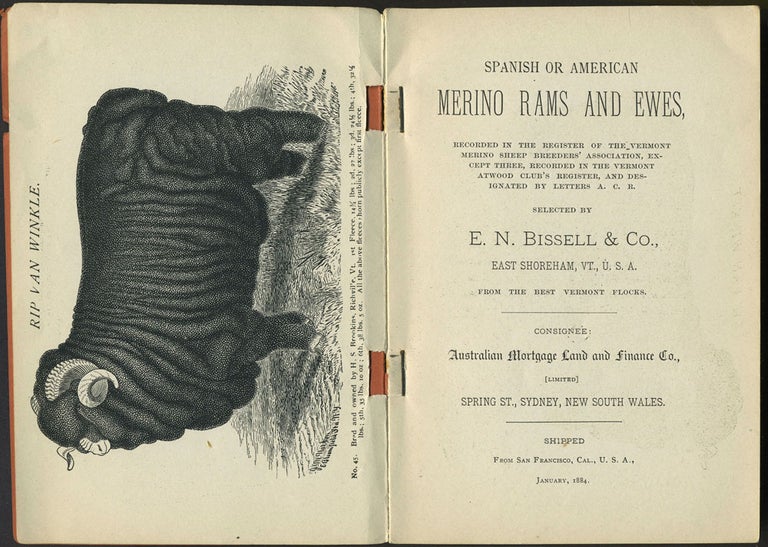 Item #24490 Spanish or American Merino Rams and Ewes ... Selected by E. N. Bissell & Co. ... from the Best Vermont Flocks. Catalog. E. N. Bissell.