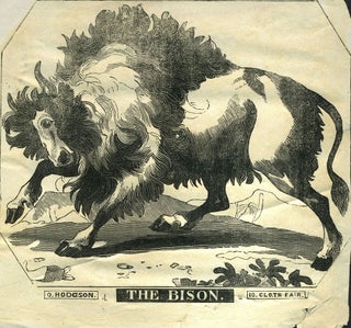Item #24497 The Bison. Woodblock advertising. O. Hodgson