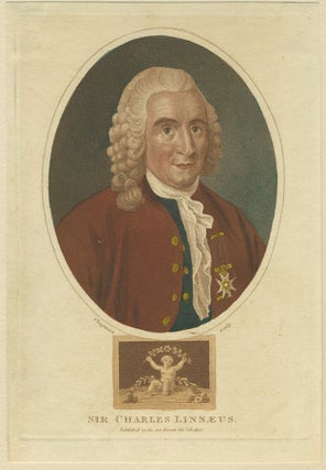 Portraits of the Founding Fathers of Botanical Study.