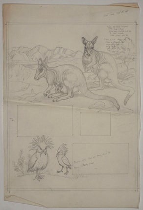 Archive of Original art work for 'The New Noah's Ark of Rare Animals'.