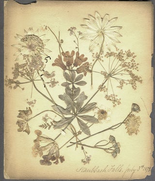 Item #24847 Pressed Dried Flowers of Italy and Switzerland. Album. Botanicals, Europe