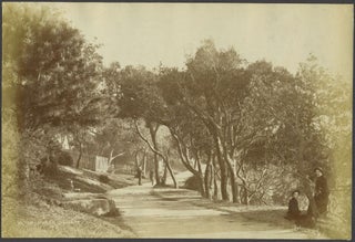 Item #24874 Walk, Outer Domain. Sydney. Albumen Photograph. N. King