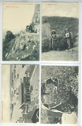 22 Postcards of Ceylon.