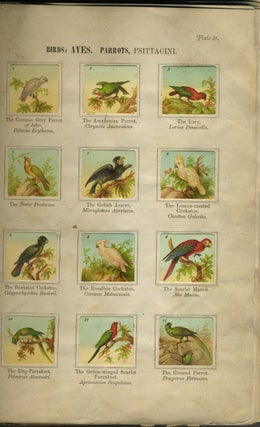 W. Hagelberg's Manual of Zoology Embracing Faithful Illustrations of the Animal World in its Most Prominent Types. Vols I - V.