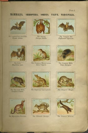W. Hagelberg's Manual of Zoology Embracing Faithful Illustrations of the Animal World in its Most Prominent Types. Vols I - V.