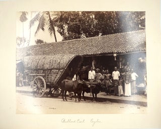 Bullock Cart, Ceylon [with] Singhalese Plowing, Ceylon. 2 Albumen photographs.