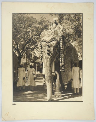 Maharaja Elephants in Ceremonial Dress. 3 Silver gelatin photographs.