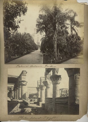 "Coogee Bay' and "Palms Botanic Garden" verso with "Philae Island, Egypt". Albumen photographs.